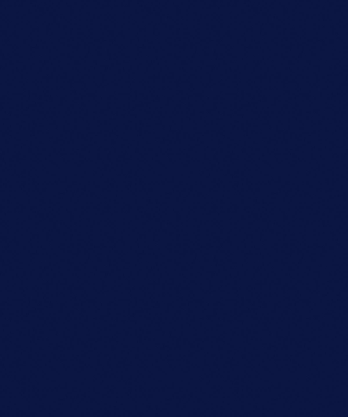 Navy - Action trousers - GarmentEmbroidery